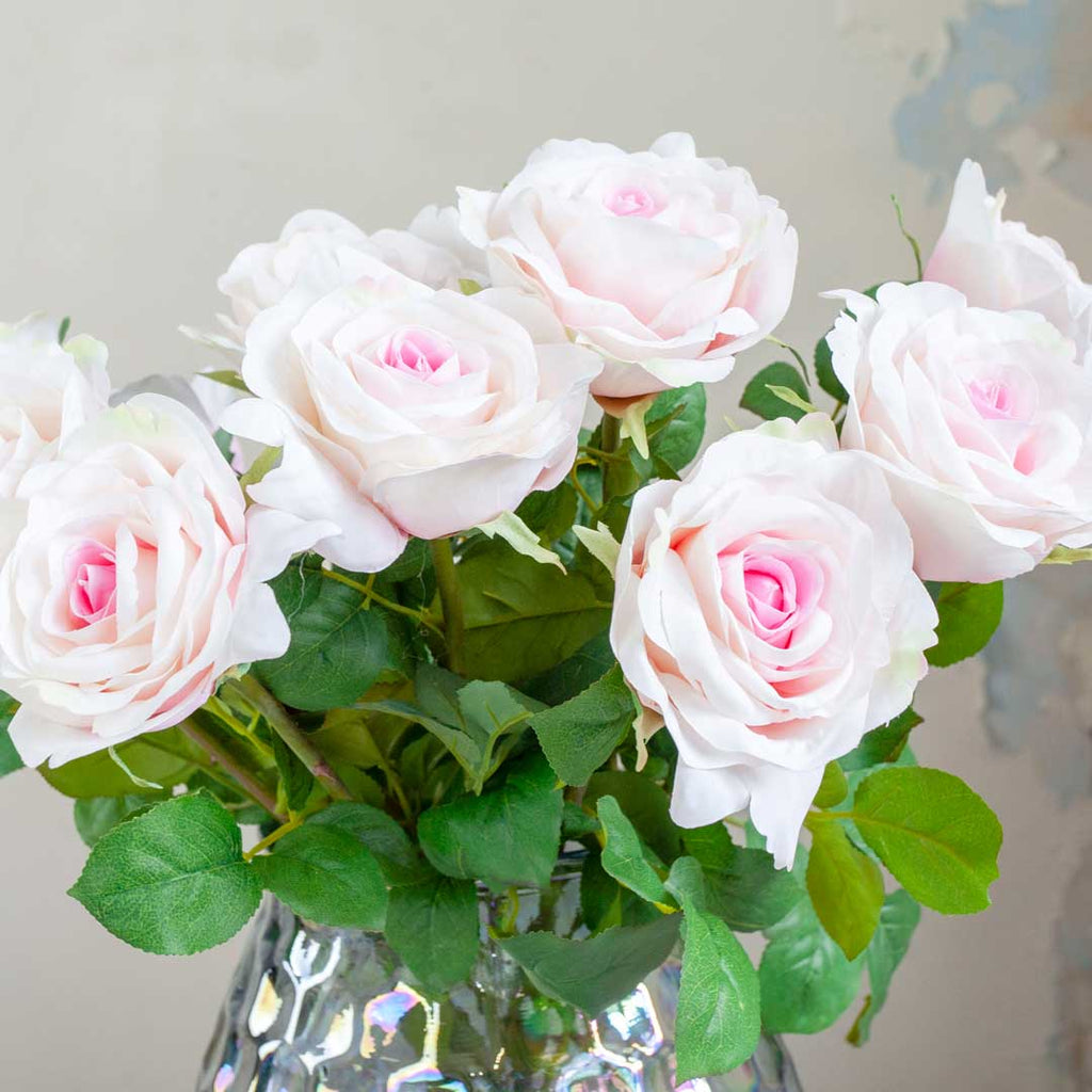 Pale Pink Avalanche Rose with Leaves on a Long Stem Peony