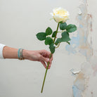 Bridal white avalanche rose with foliage. Peony