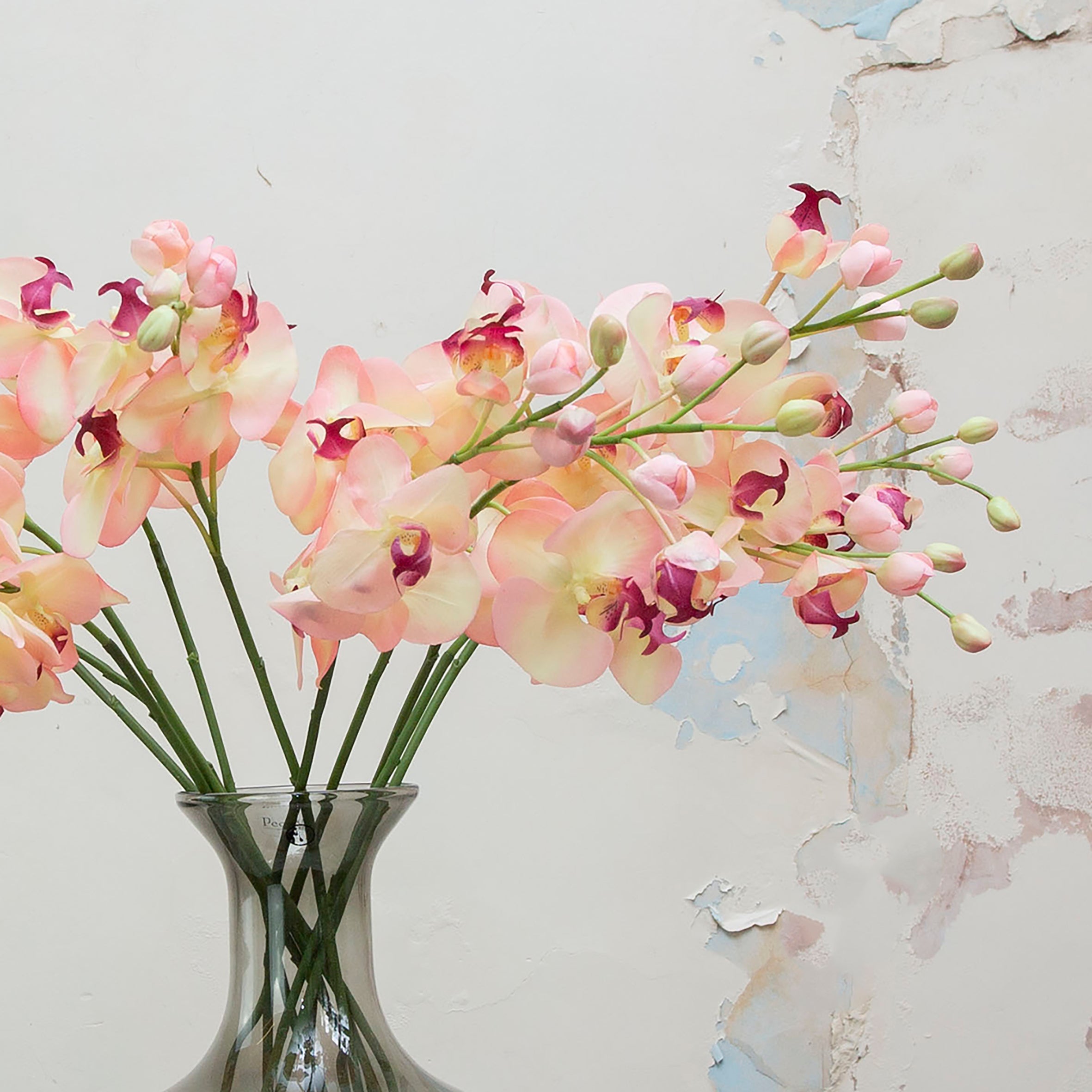 Real touch phalenopsis with buds on a long stem. Peony