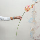 Real touch phalenopsis with buds on a long stem. Peony