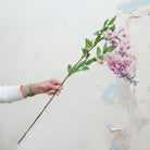 Long stem of romantic lavender wisteria with leaves. Peony