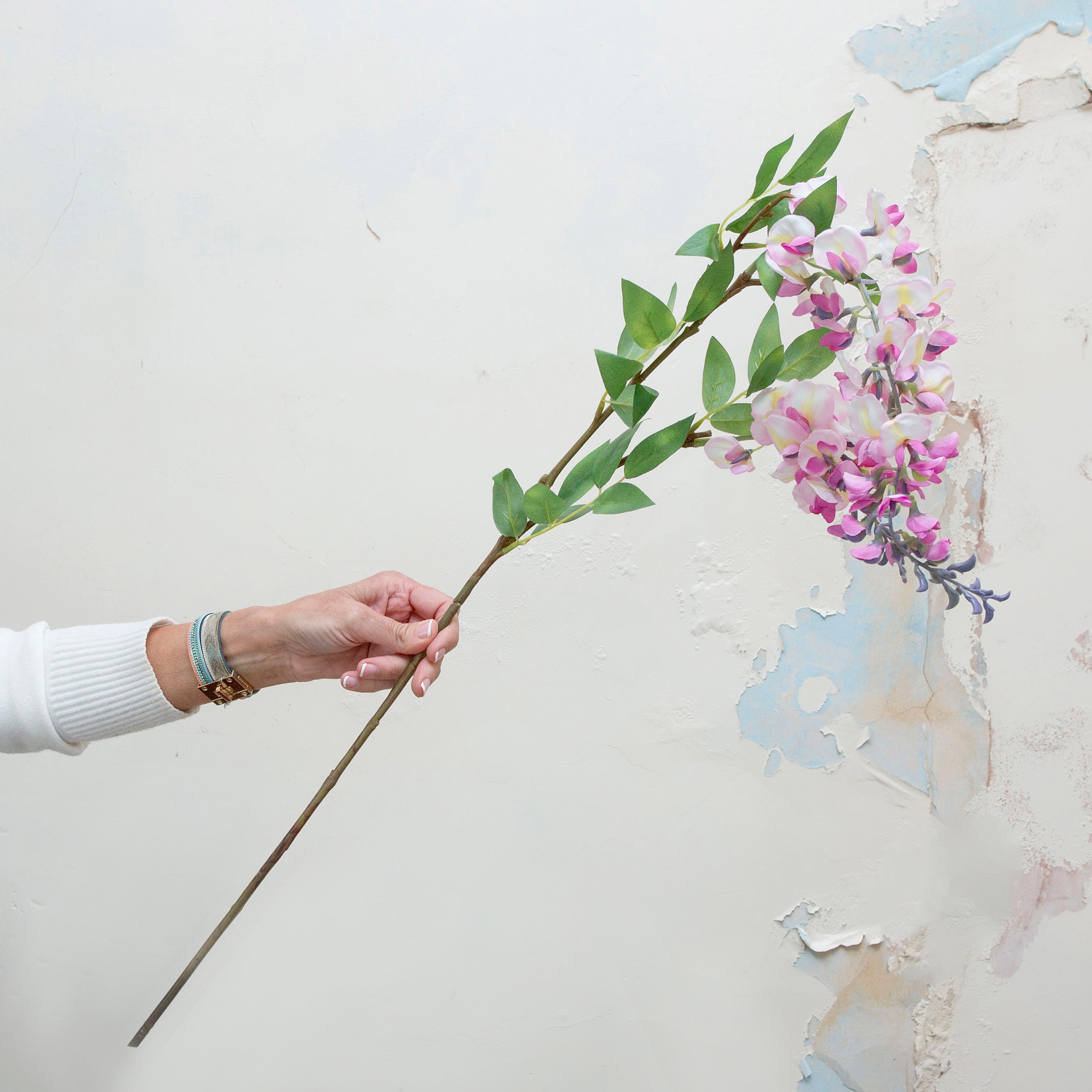 Long stem of romantic lavender wisteria with leaves. Peony