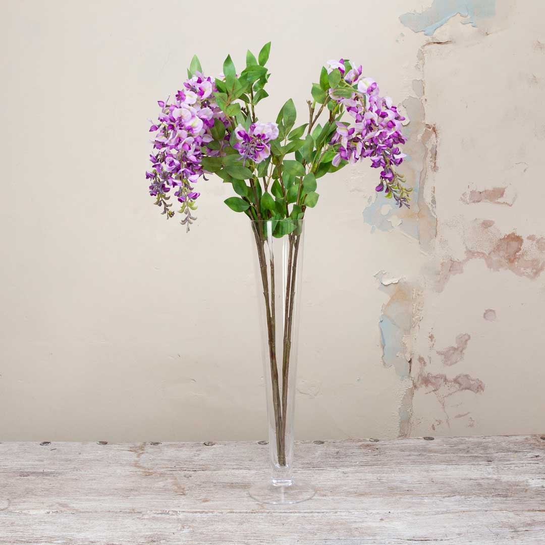 Purple-Pink Wisteria with Leaves on an Extra Long Stem Peony