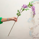 purple-Pink Wisteria with Leaves on an Extra Long Stem Peony