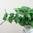 Green Laurel Leaves Peony