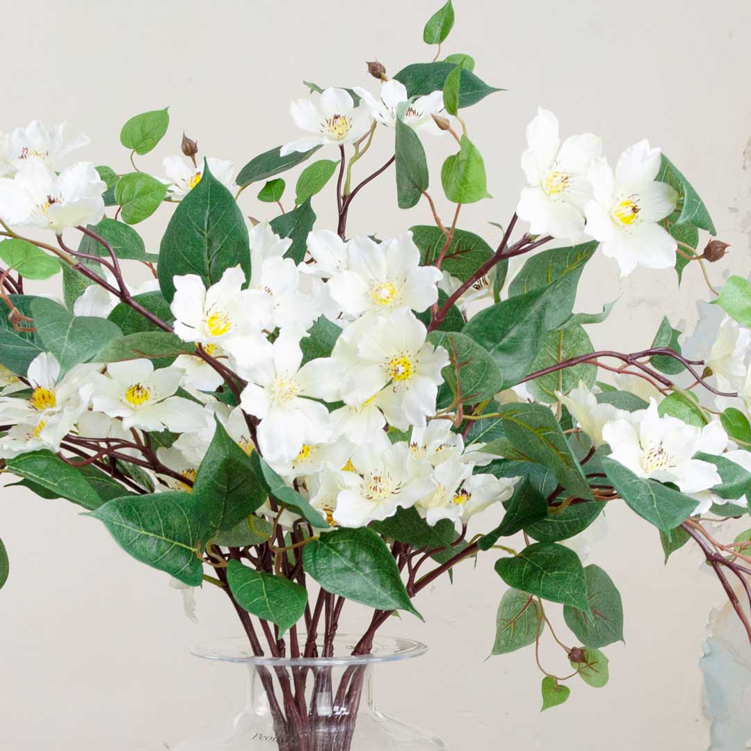 White Clematis Stem with Leaves Peony