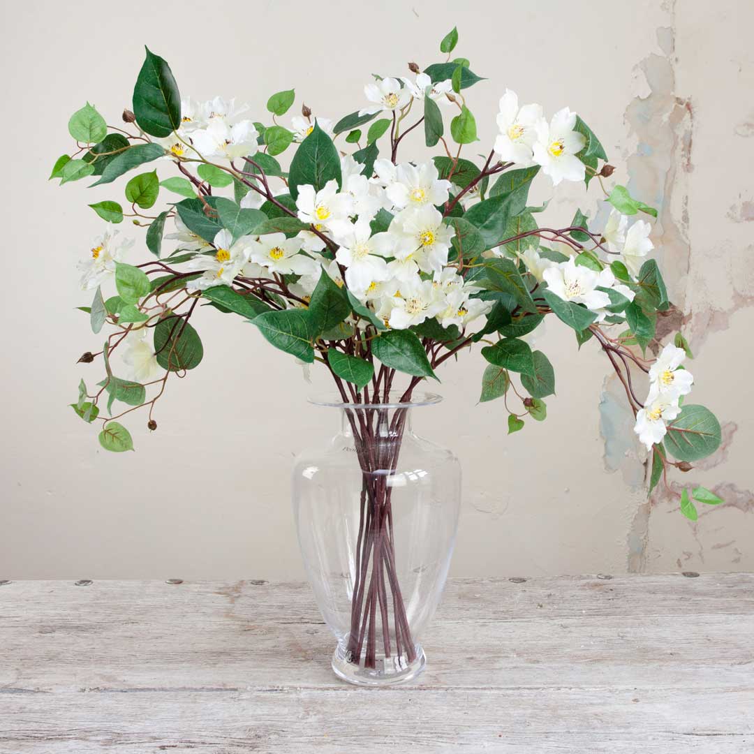 White Clematis Stem with Leaves Peony