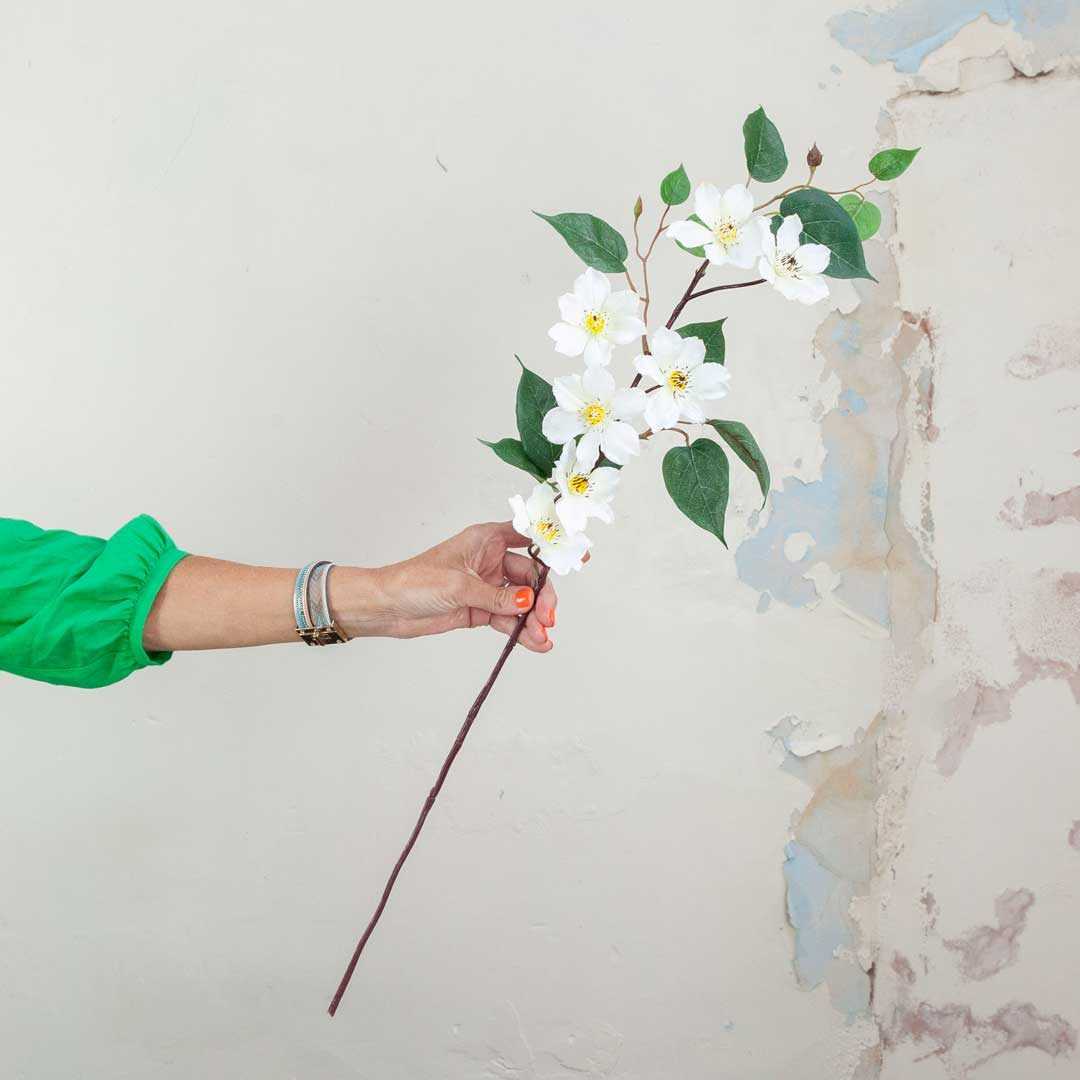White Clematis Stem with Leaves Peony