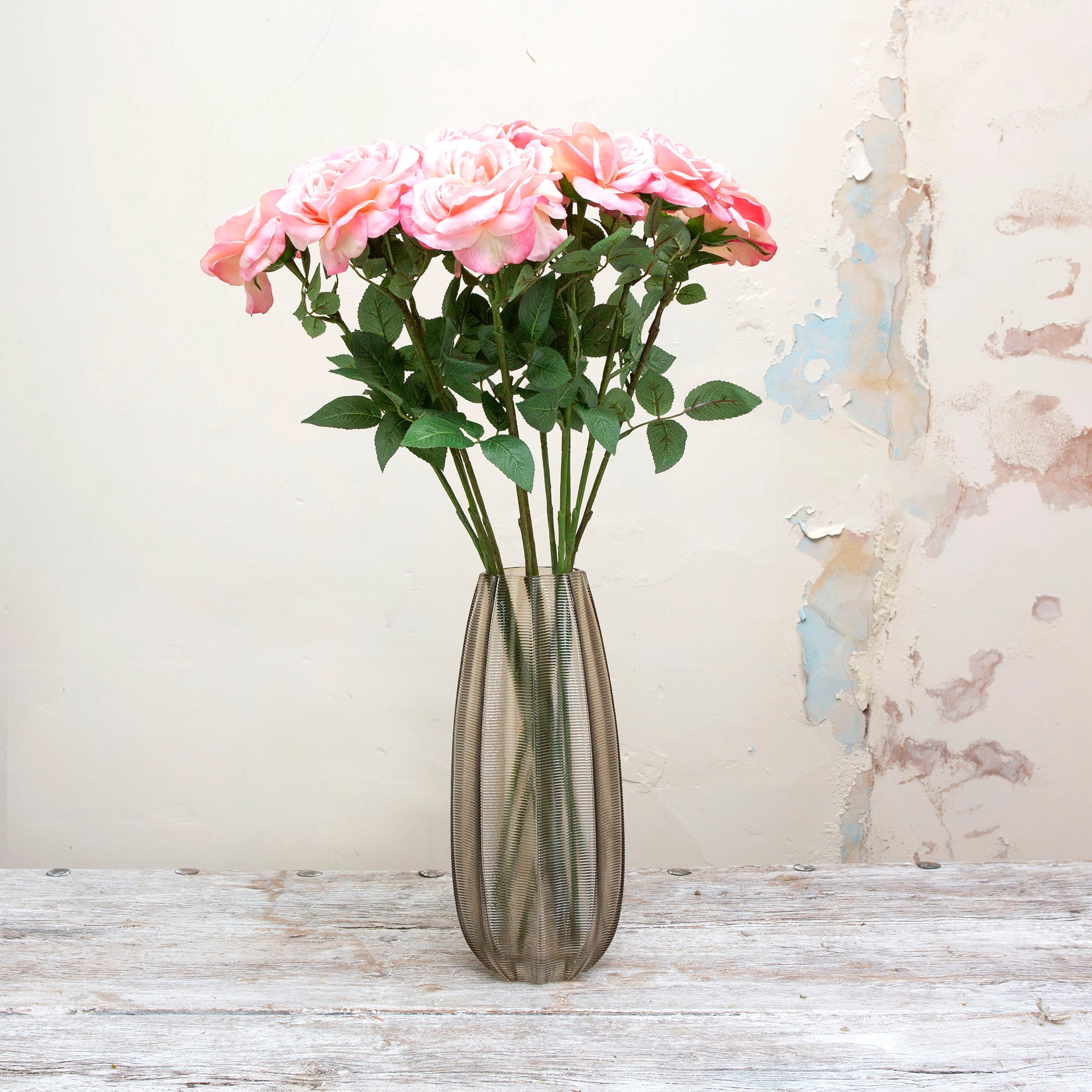 Pale pink Sophia rose with leaves. Peony