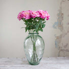 Dark Pink Sophia Rose with Leaves on a Long Stem Peony