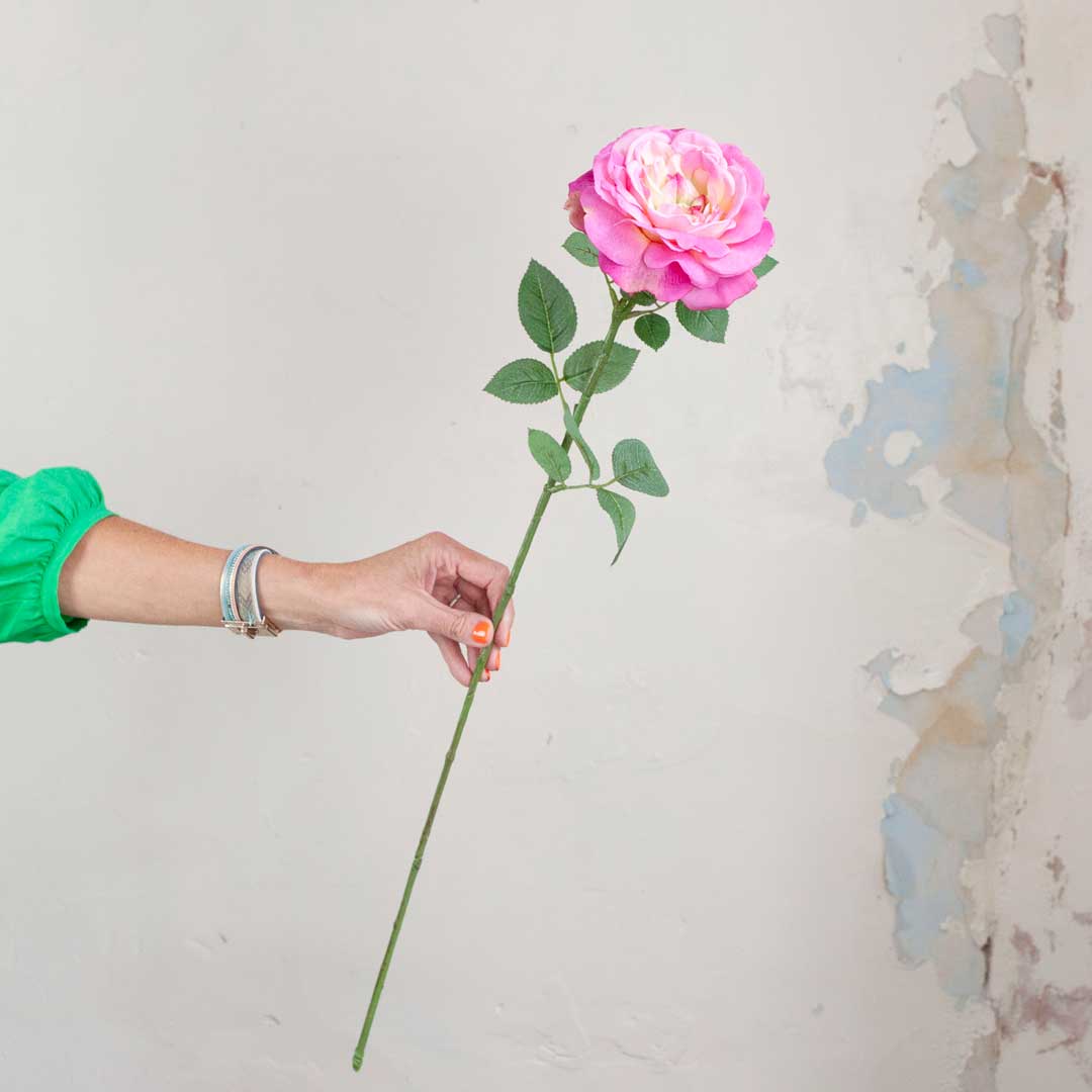 Dark Pink Sophia Rose with Leaves on a Long Stem Peony