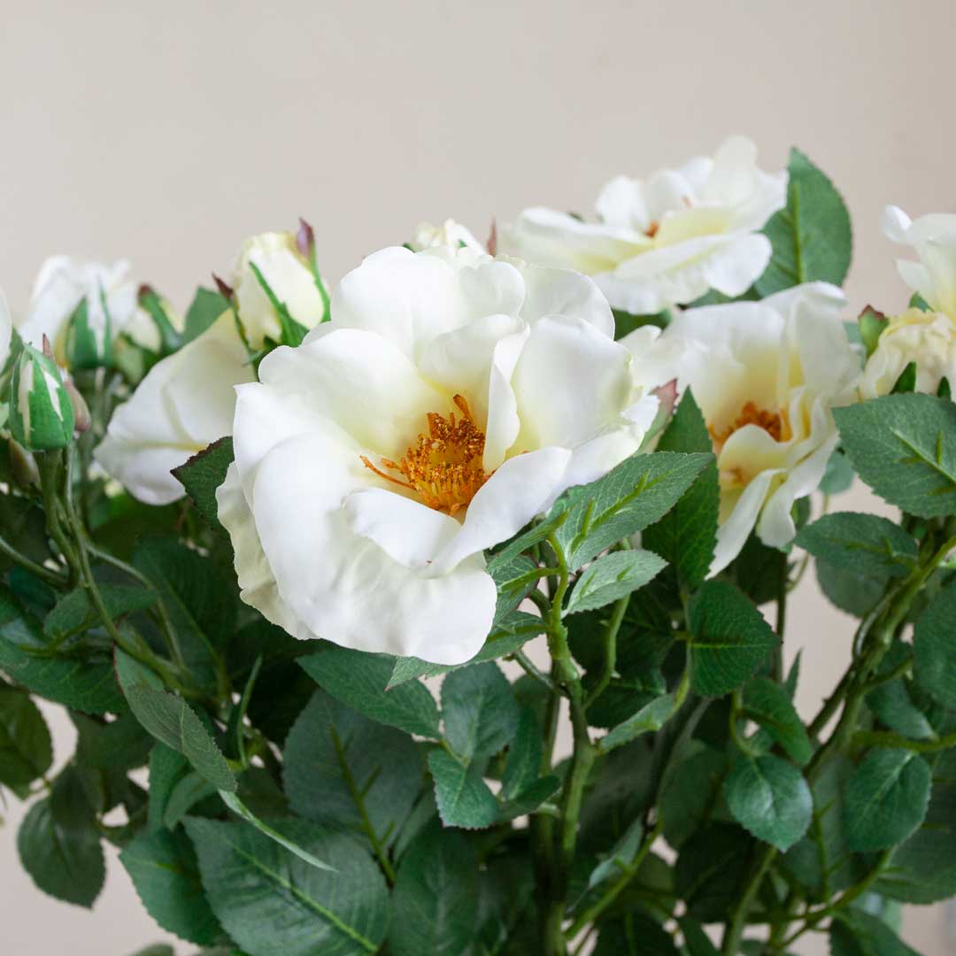 Cream Dogwood Rose Stem with Buds and Leaves Peony