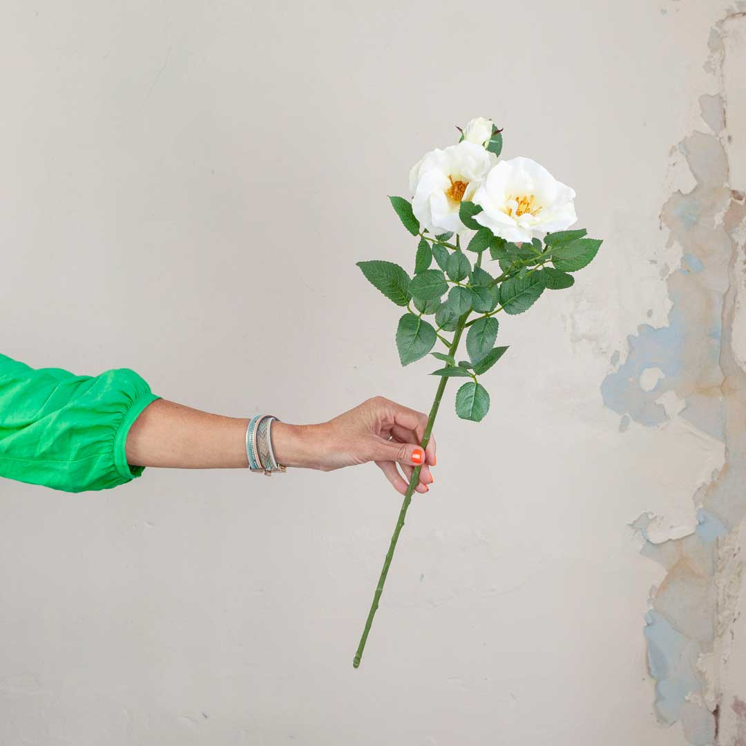 Cream Dogwood Rose Stem with Buds and Leaves Peony