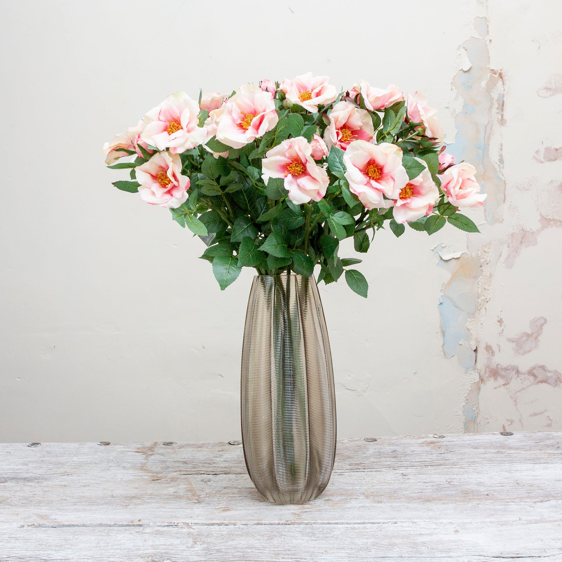 Pastel pink roses on a long stem with rose leaves. Peony