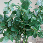 Rose Leaf Stem Peony