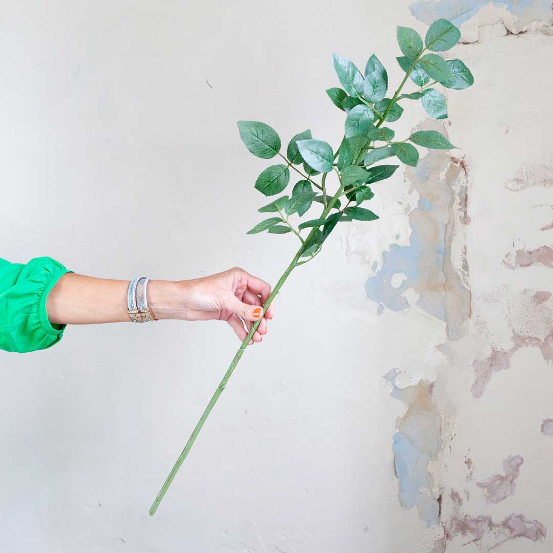 Rose Leaf Stem Peony