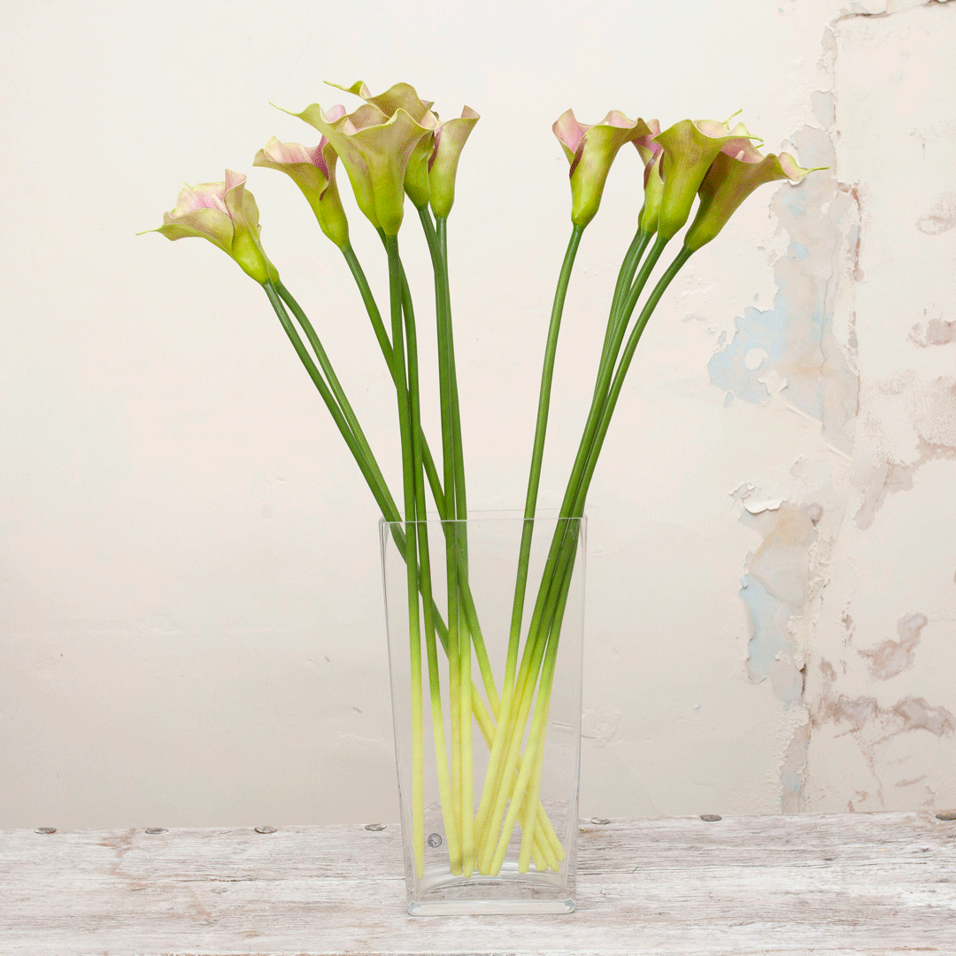 Green long stem calla lily Peony