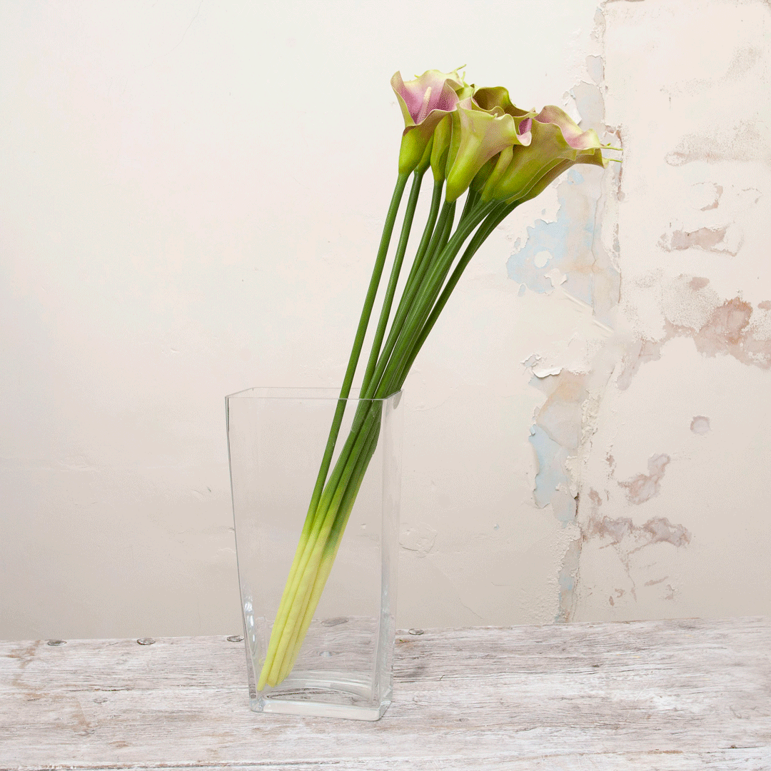 Green long stem calla lily Peony