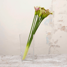 Green long stem calla lily Peony