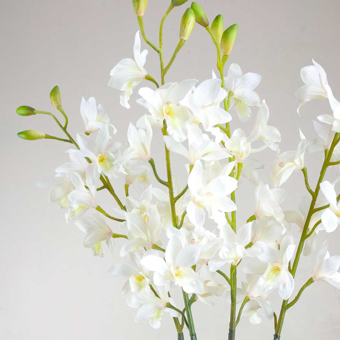 White Real Touch Cymbidium Orchid on an Extra Long Stem Peony