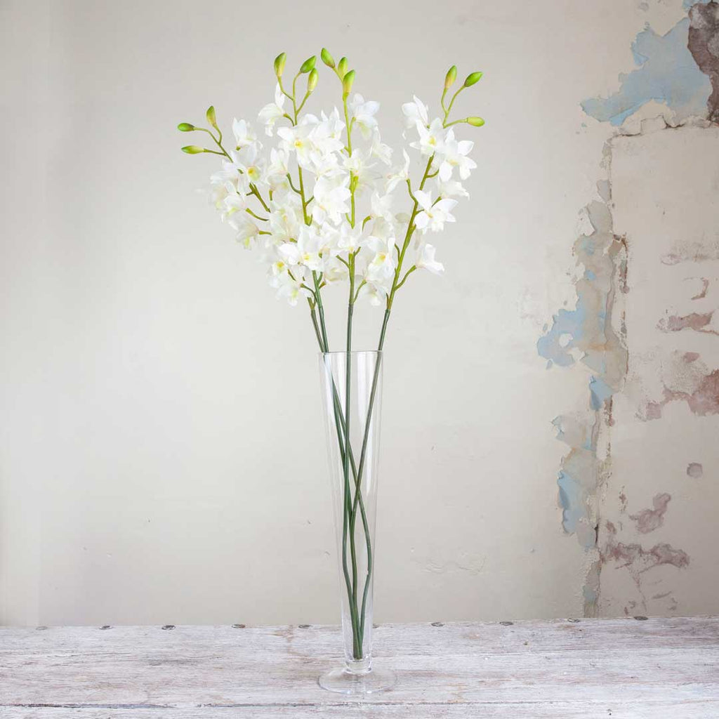 White Real Touch Cymbidium Orchid on an Extra Long Stem Peony