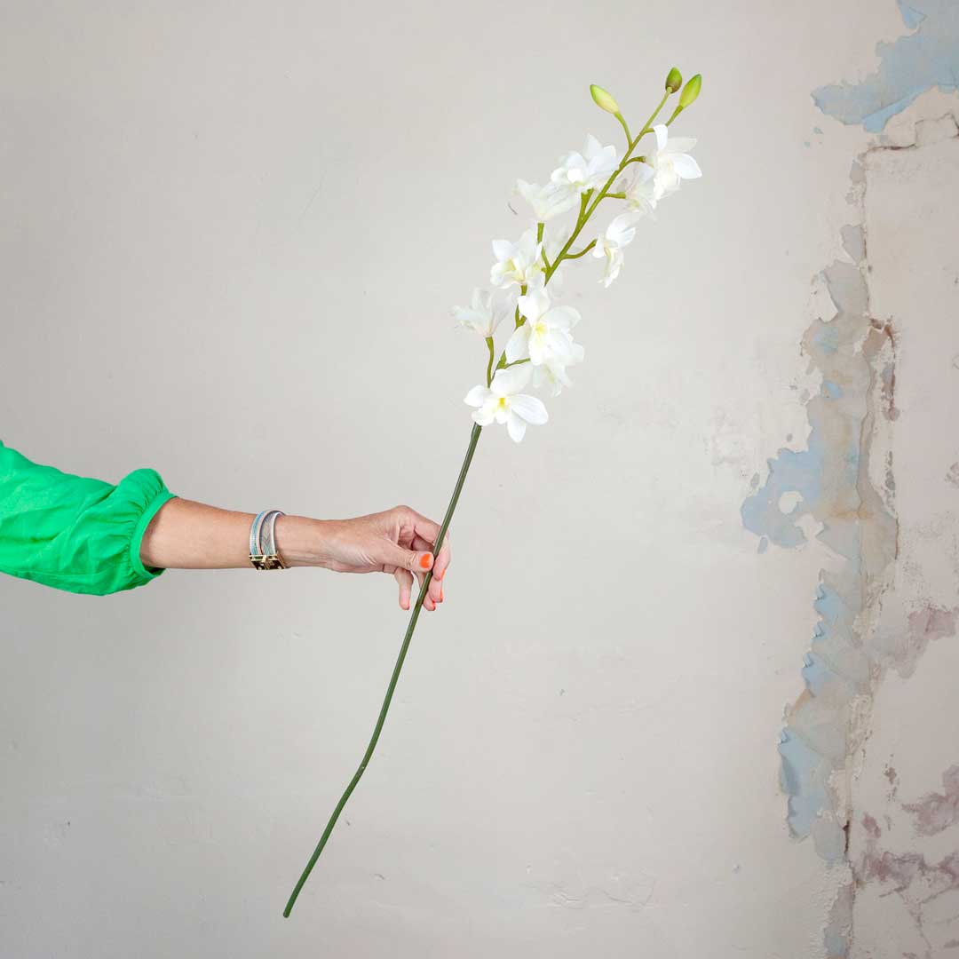 White Real Touch Cymbidium Orchid on an Extra Long Stem Peony