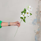 Cream / White Clematis Spray with Buds and Leaves Peony