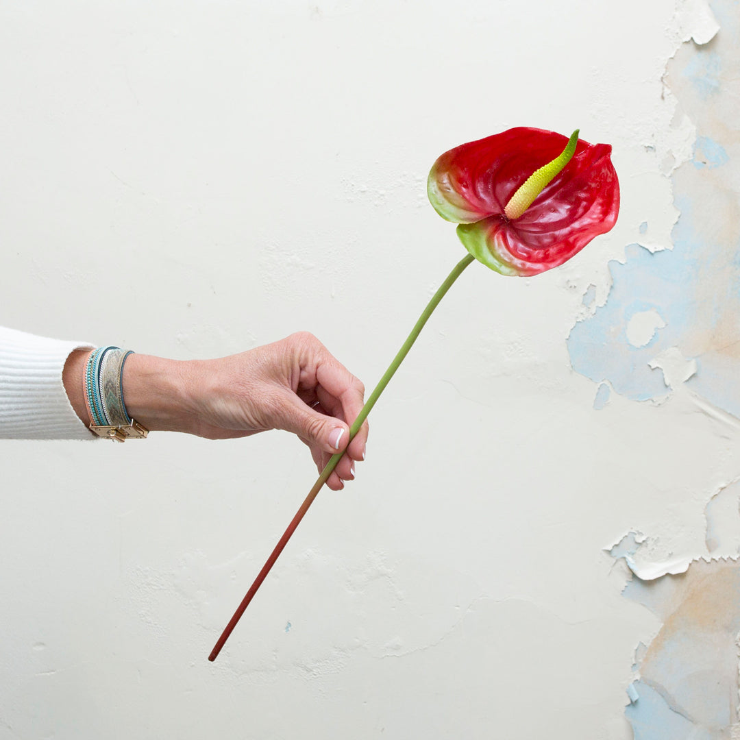 Vibrant red with a hint of green anthurium stem.