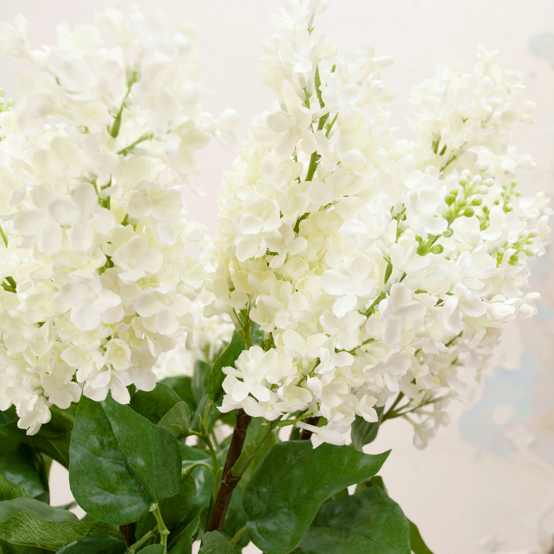 Bridal white lilac spray with green leaves Peony