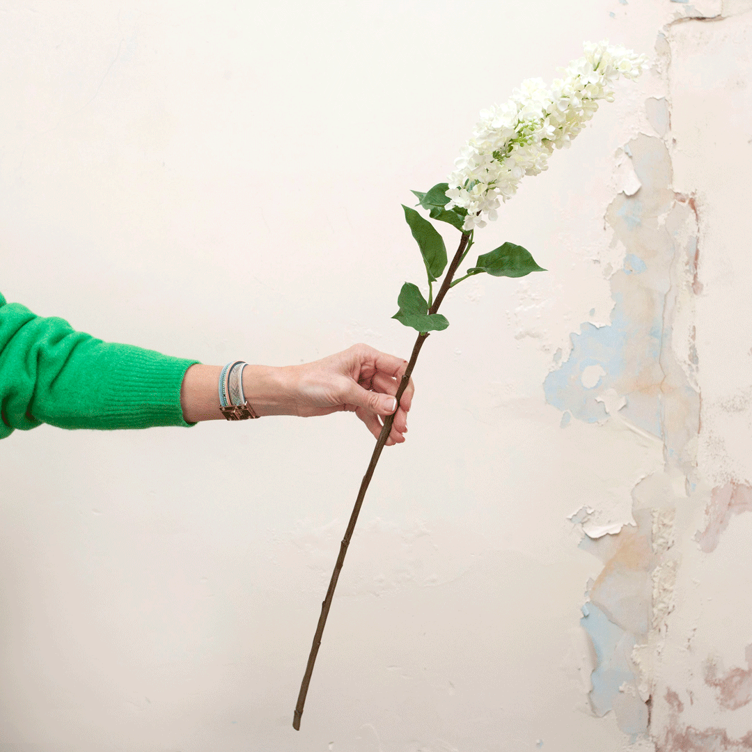 Bridal white lilac spray with green leaves Peony