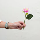 Hand holding Artificial pink Dahlia stem pick
