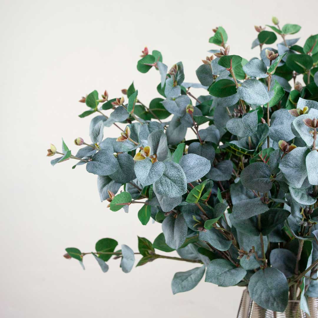 Silver Grey Eucalyptus Stem Peony