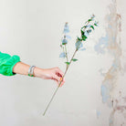 Silver Grey Eucalyptus Stem Peony