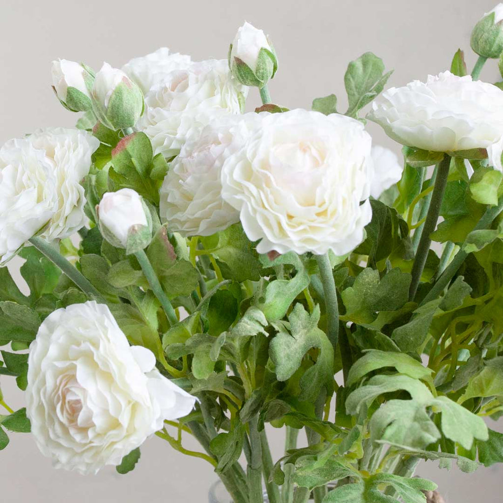 White Ranunculus Stem with Buds and Leaves Peony