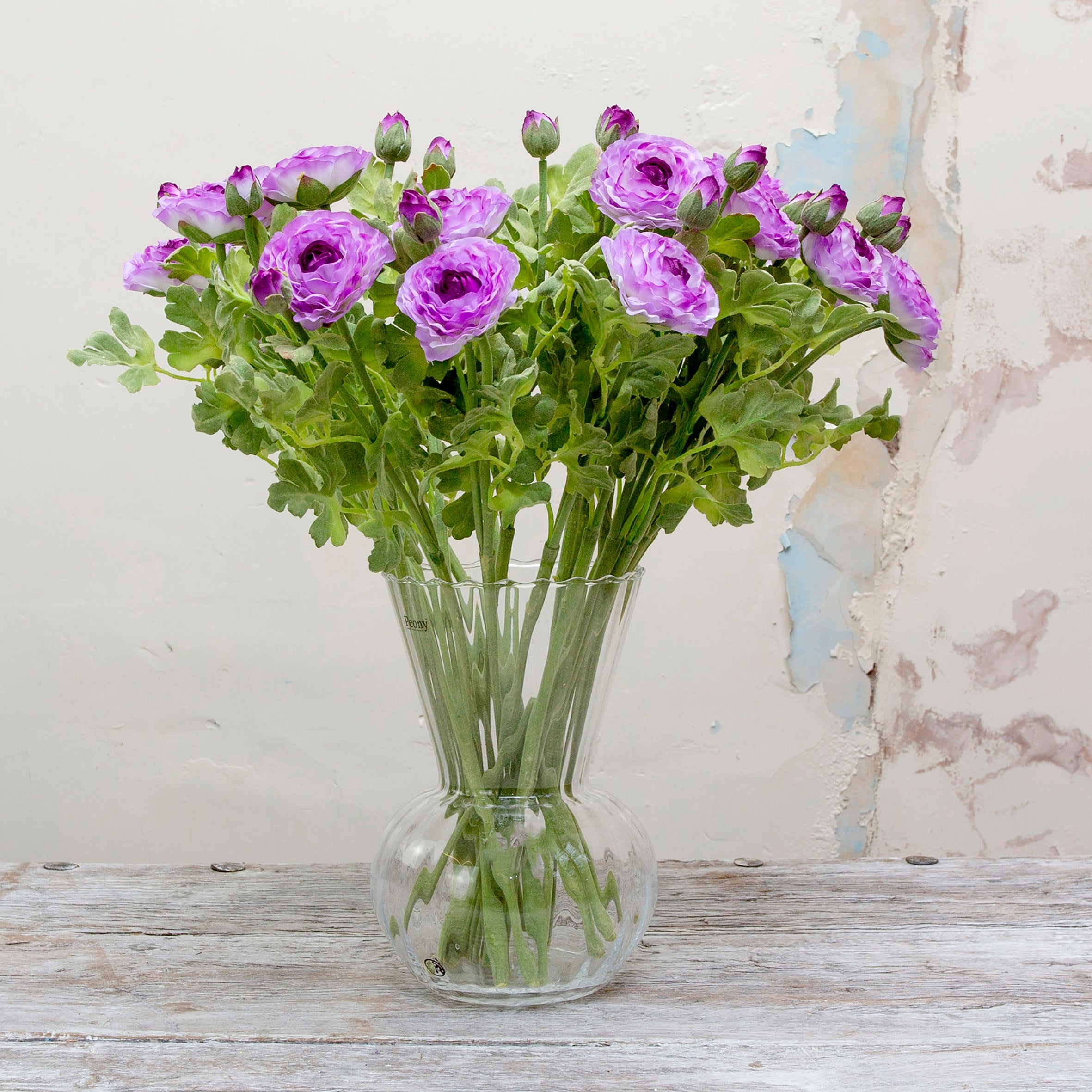 Ranunculas with buds and foliage in a vibrant lavender. Peony