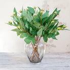 Peony Buds and Leaves on a Long Stem Peony