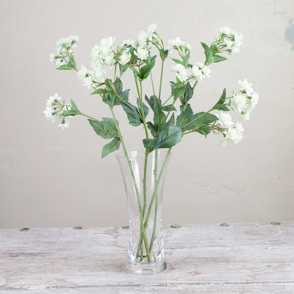 White Astrantia with Leaves on a Long Stem Peony