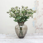 Blue/grey with green astranthia on a long stem. Peony