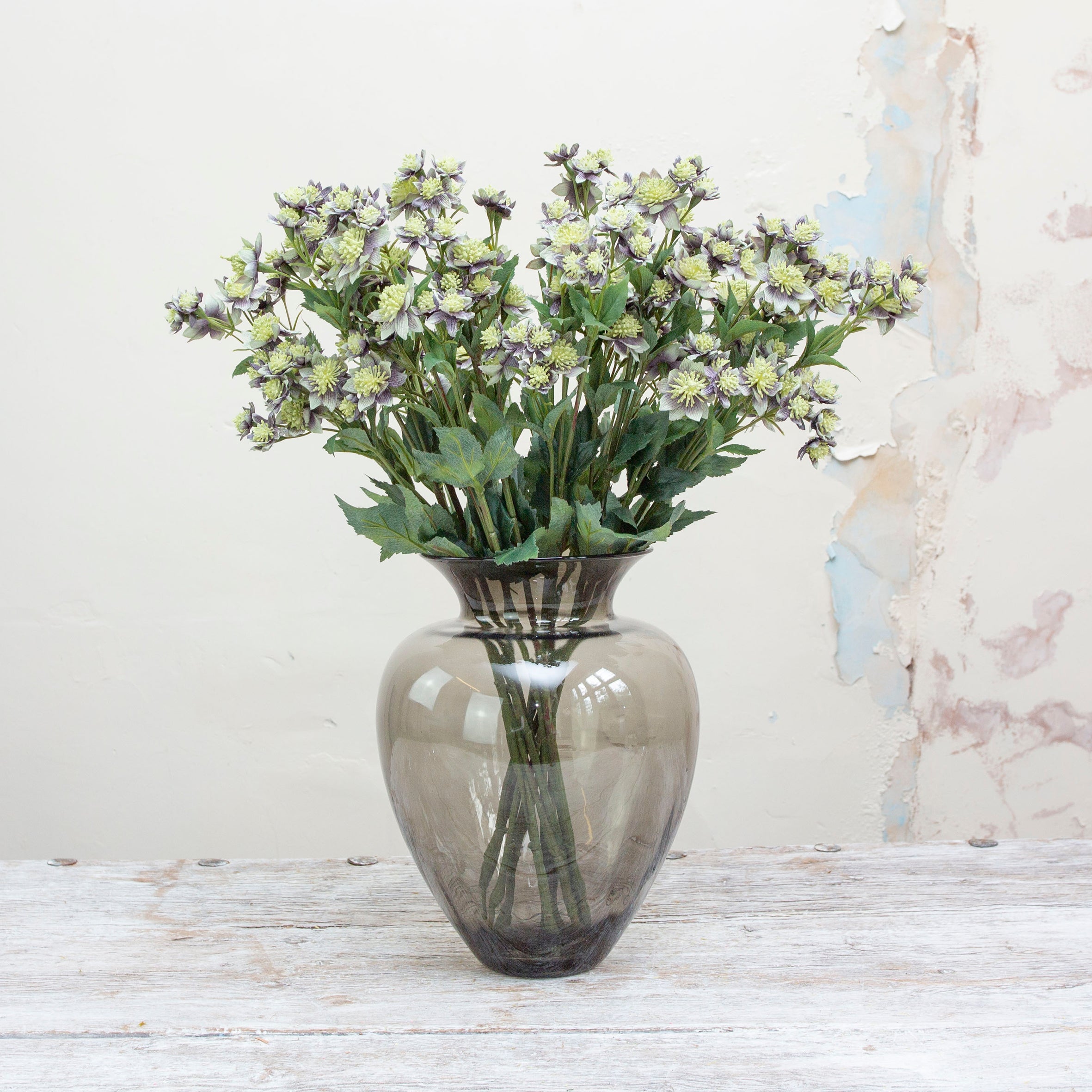 Blue/grey with green astranthia on a long stem. Peony