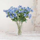 Blue Astrantia with Leaves on a Long Stem Peony