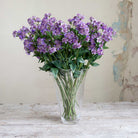 Purple Astrantia with Leaves on a Long Stem Peony