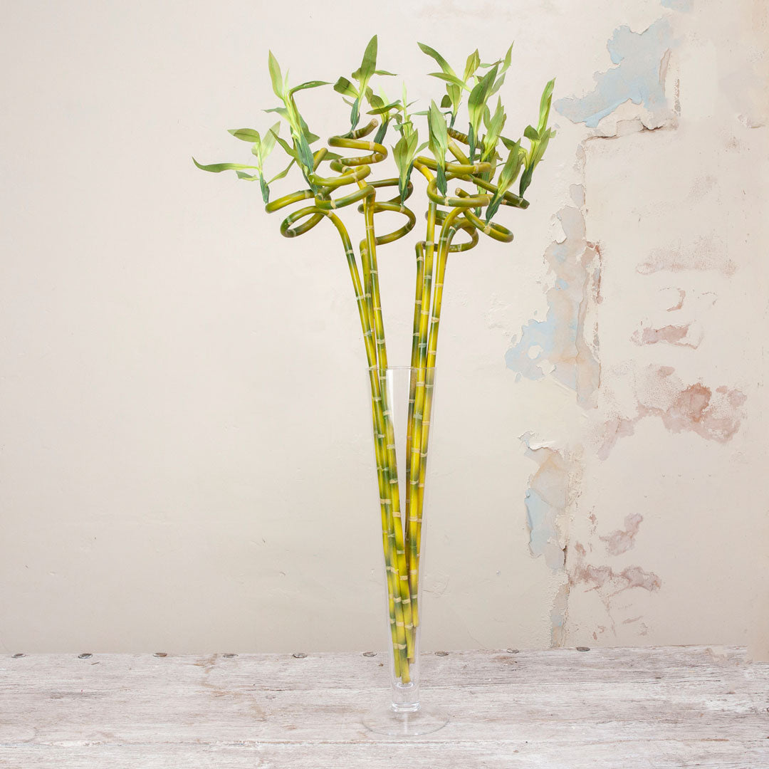 Twisted Green Bamboo on a Long Stem Peony
