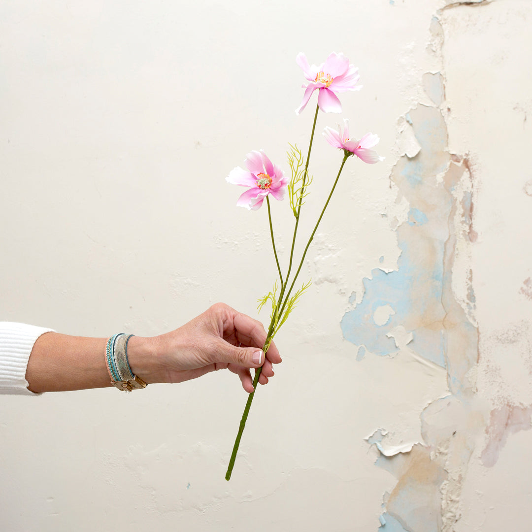 Delicate lavender pink cosmos with leaves.