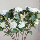 Cream Camellia with Buds and Leaves on a Long Stem Peony