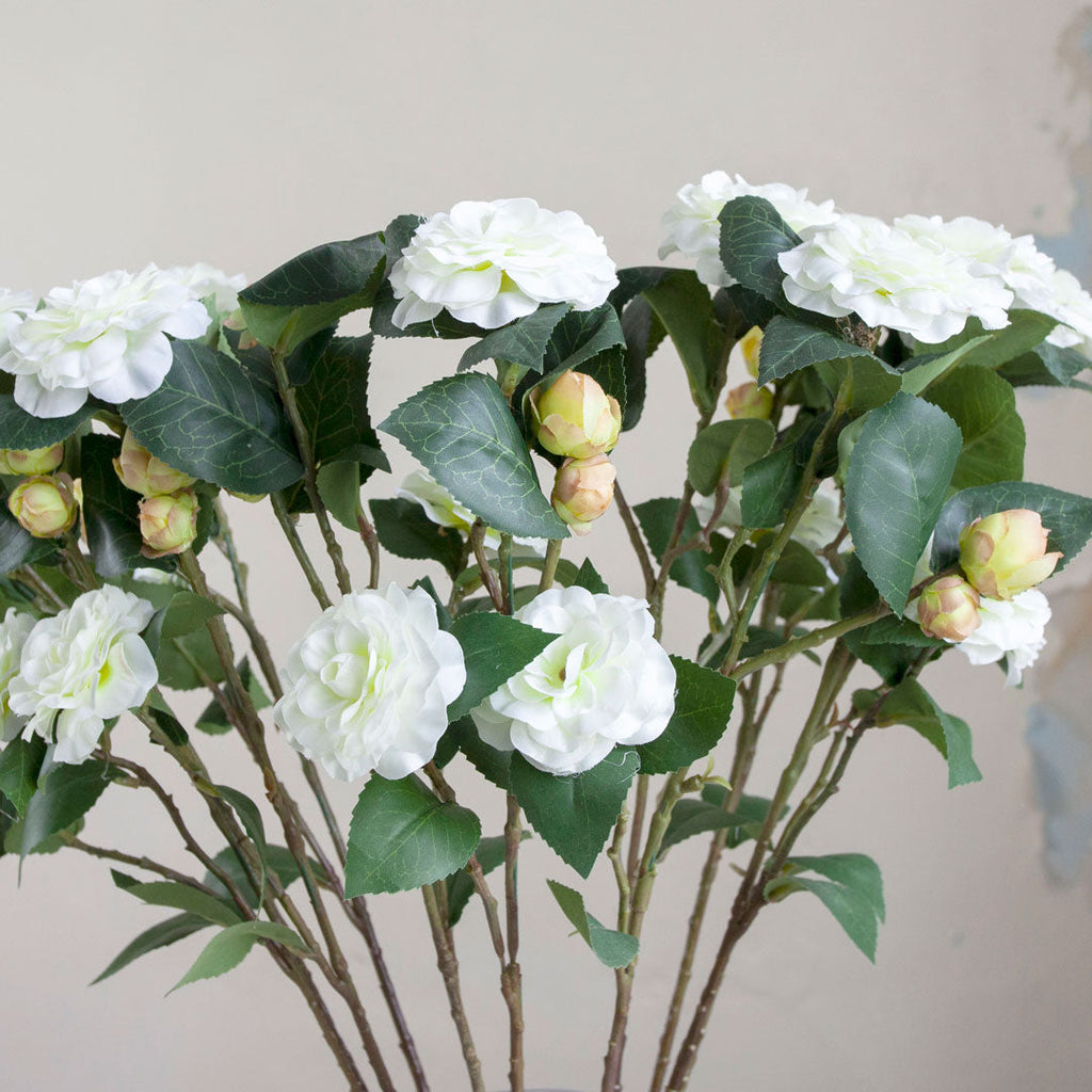 Cream Camellia with Buds and Leaves on a Long Stem Peony