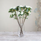 Cream Camellia with Buds and Leaves on a Long Stem Peony