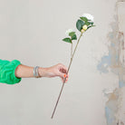 Cream Camellia with Buds and Leaves on a Long Stem Peony