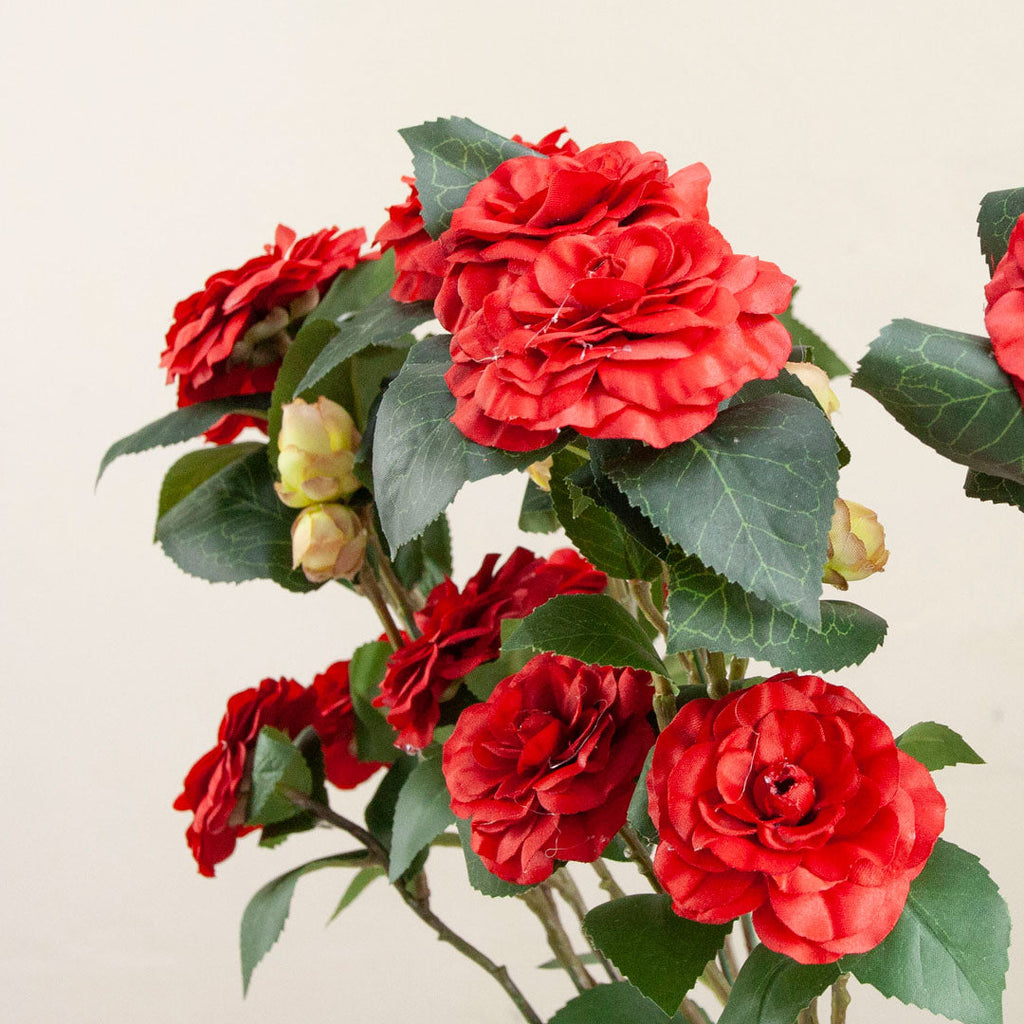Red Camellia Spray with Buds and Leaves Peony