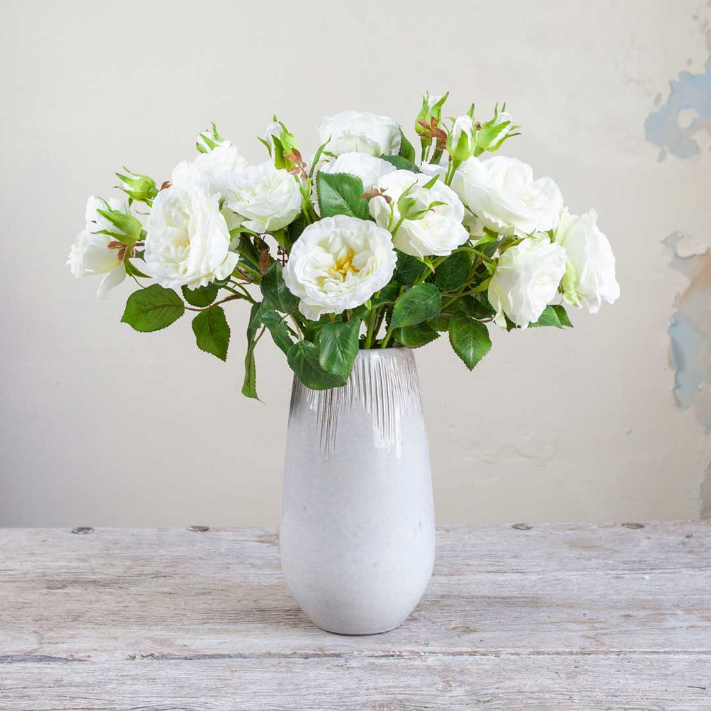 White Old English Rose Spray with Buds and Leaves Peony