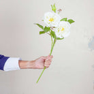 White Old English Rose Spray with Buds and Leaves Peony